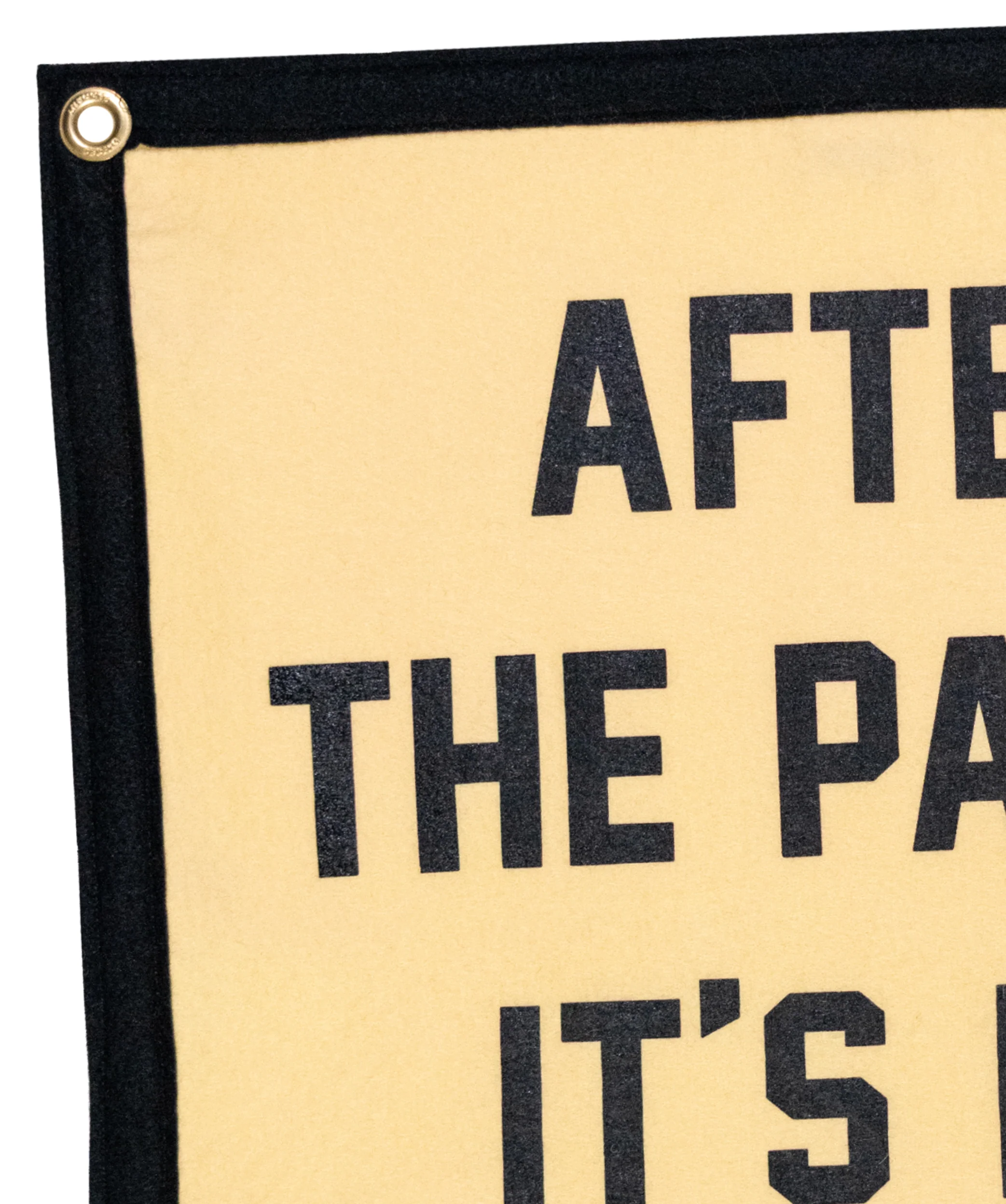 After The Party It's Me and You Camp Flag • The Menzingers x Oxford Pennant - Image 3