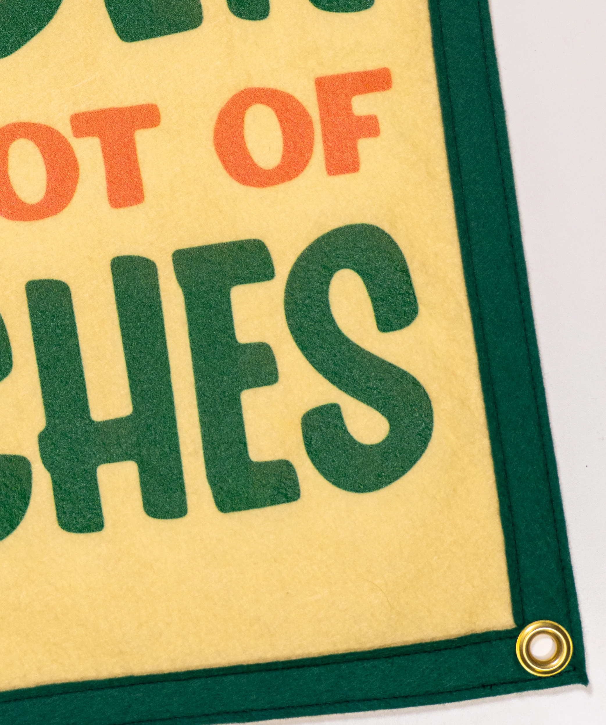 Plant A Little Garden Eat A Lot Of Peaches Camp Flag • John Prine x Oxford Pennant - Image 4