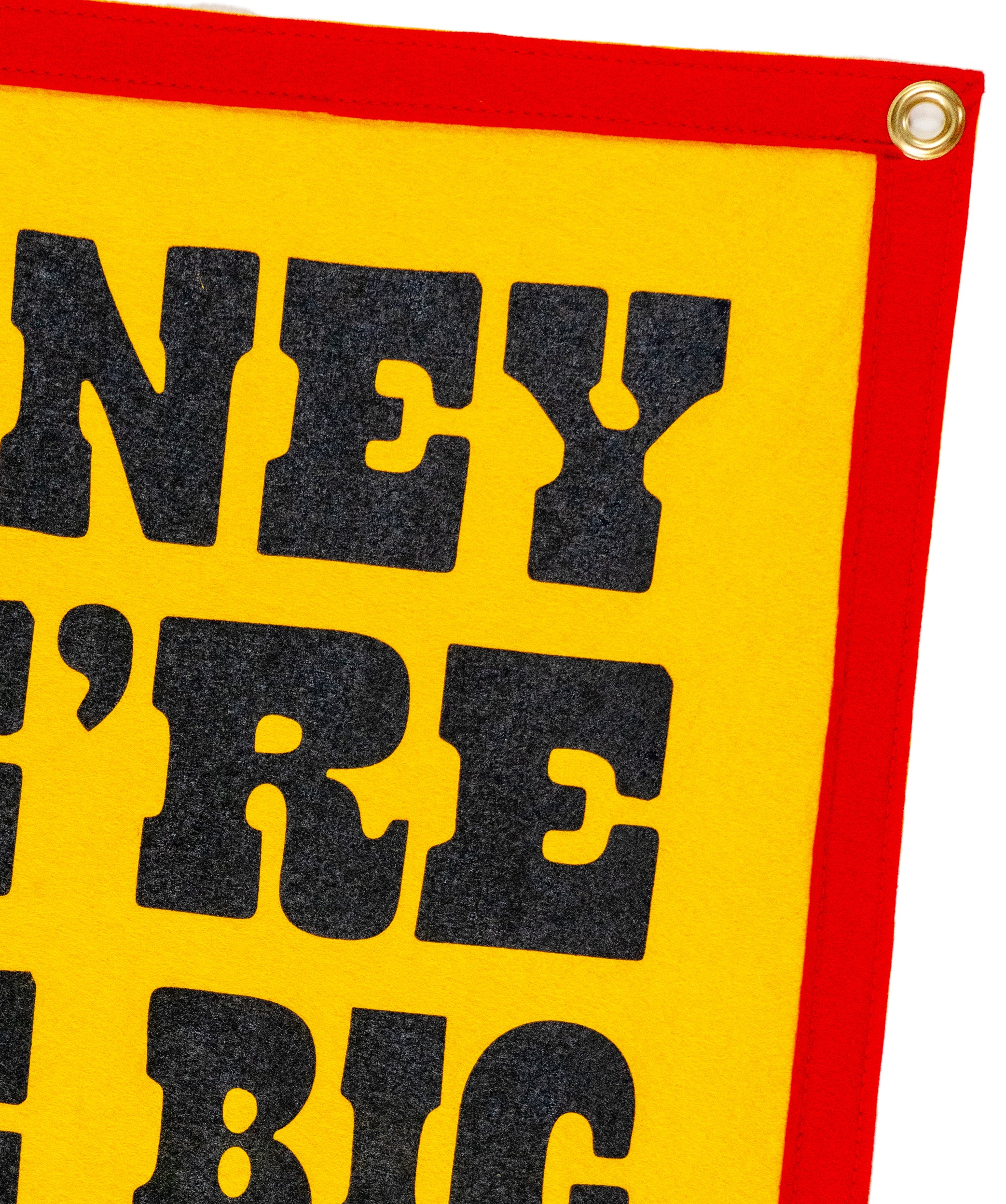 We're The Big Door Prize Camp Flag • John Prine x Oxford Pennant - Image 5