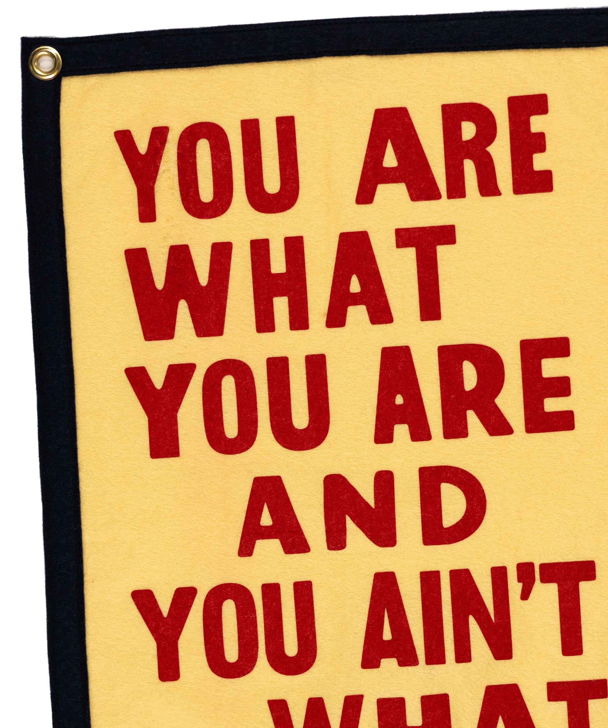 You Are What You Are Camp Flag • John Prine x Oxford Pennant - Image 3