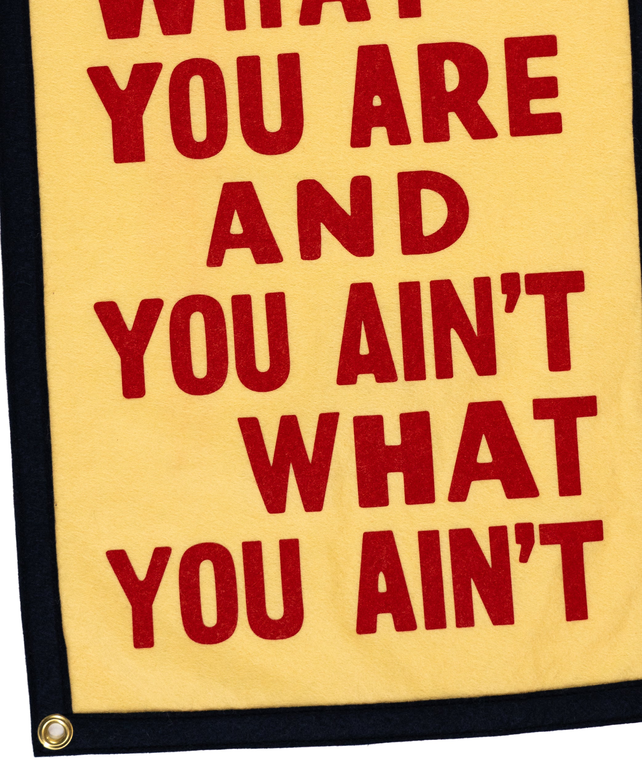 You Are What You Are Camp Flag • John Prine x Oxford Pennant - Image 4