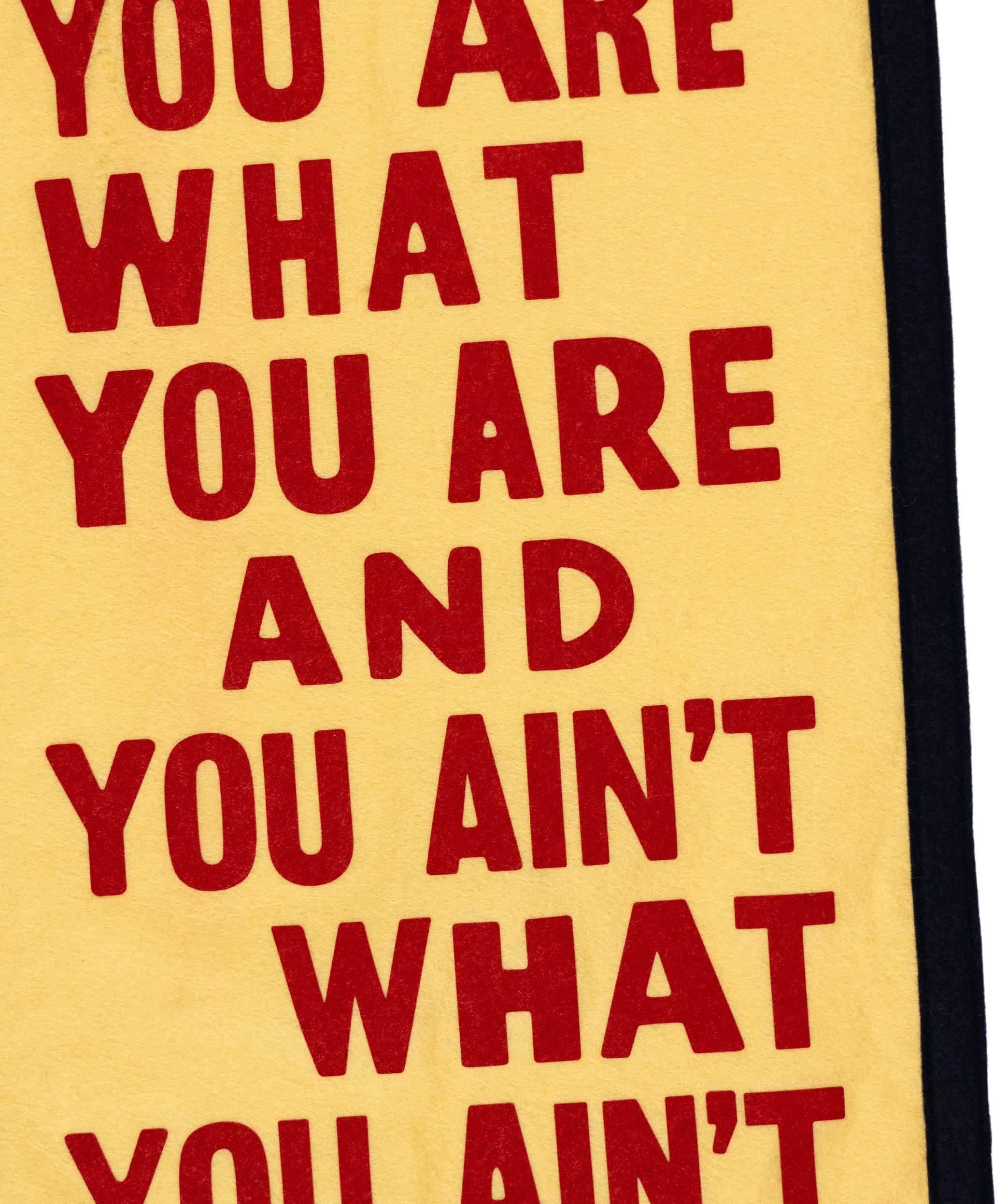 You Are What You Are Camp Flag • John Prine x Oxford Pennant - Image 5